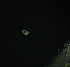 � A. Murner; Saturnbedeckung durch den Mond am 03.11.2001 zwischen 22:00 Uhr und 23:10 Uhr. Aufgenommen mit einer Olympus C 2020 zoom an einem Skywatcher Newton 200/1000, Okularprojektion mit einem 5 mm Easyview-Okular.
