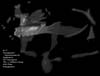 � M. D�hne; Messier 17