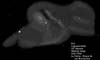 � M. D�hne; Messier 8