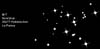 � M. D�hne; Messier 7