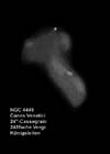 � M. D�hne; NGC 4449