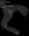 � M. D�hne; NGC 7000