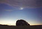 � M. Wagner; Jupiter-Venus-Konjunktion 6.8.2001, vom Negativ