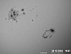 � N. Kloth; Sonnenfleckengruppe vom 28.10.2003, 4''-Refraktor, AstroSolar Sonnenfilterfolie + 16 mm Ortho, afokal mit Kodak Digitalkamera DX 3900, starke Luftunruhe.