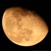 � P. Wienerroither; Mond am 13.1.2001, kurz nach Aufgang. Intes MK-67, Canon EOS, ca. 1/2 Sek., Kodak Elite 100.