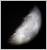 � P. Wienerroither; Mond, 10.05.2000, Bresser Champ 80/400, mod. Digitalkamera Olympus C-1000L, Okularproj. 15mm