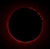 � S. Bergthal; Sonne im H-Alpha-Licht am 24.06.2001 um 10.00 Uhr MEZ. mit Zeiss AS 100/1000 und Protuberanzen-Ansatz nach Lille. Brennweite f = 1.700 mm. Belichtungszeit t = 1/125 s auf Fuji Velvia 50.