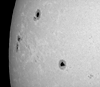 � S. Bergthal; Sonne am 24.06.2001 um 11.00 Uhr MEZ mit Zeiss AS 100/1000 und Herschelkeil. Okularprojektion mit Zeiss O-10. Brennweite f = 8.300 mm. Belichtungszeit t = 1/500 s auf Fuji Velvia 50.
