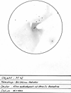 � Th. End; M 42 (gro�) und M 43 (klein, rechts unterhalb von M 42, ca. 4 Uhr)