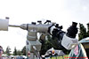 � N. Kloth; 10. IHT-Reinsehlen vom 9. - 12. September 2010