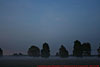 � N. Kloth; 8. IHT-Reinsehlen vom 26. - 28. September 2008: Langsam zieht Nebel auf.