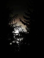 � W. Ransburg; Gegen 22h hat sich der Mond schon angek�ndigt, vorher konnten wir eine F�lle von Beobachtungen und Fotografien machen.