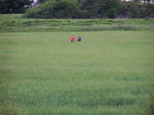 � N. Kloth 2006