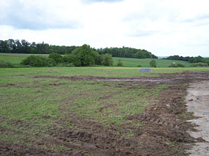 � N. Kloth 2006