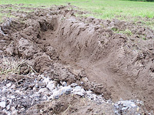 � N. Kloth 2006
