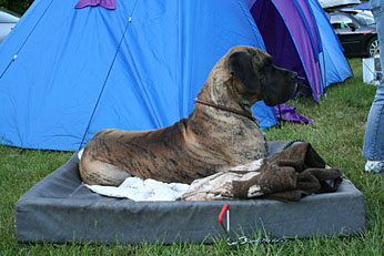 � N. Kloth 2007